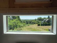 Cozy Cottage - Homestays