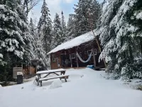 Cabin-Swim-Brook on Property-Views-Firepit-Woodstove-7 Min to Stratton-Dogs OK - Chalets