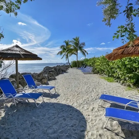 PARADISE FOUND!