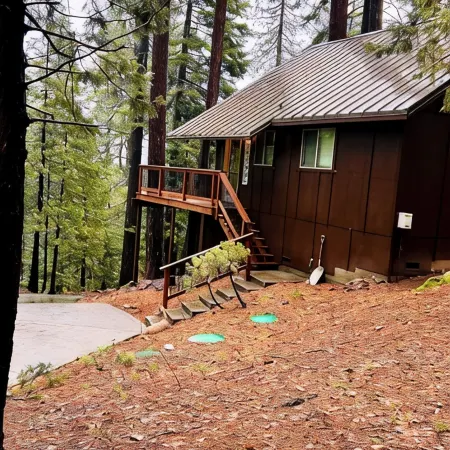Cozy Cabin in the woods.