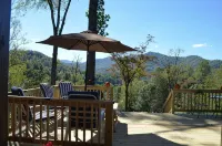 Mountain View Retreat/2Br Log Home Apt w/Private Dining Deck & BBQ/Massage - Mountain view