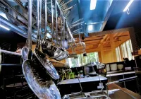 Longosphere Glamping - servizio colazione