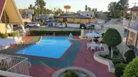 Willow Tree Lodge - Swimmingpools