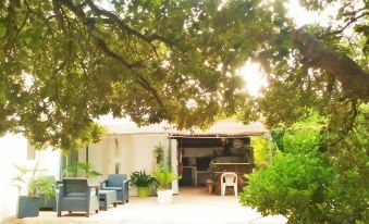 Autour du Hamac - Housity