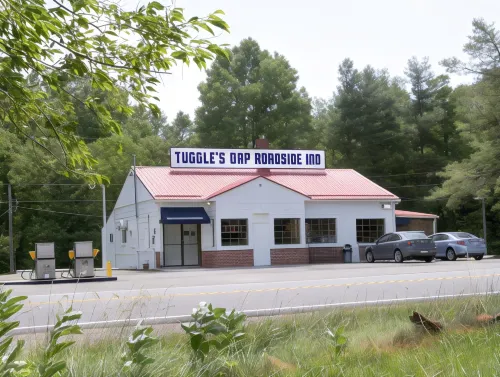 Tuggle's Gap Roadside Inn - Blue Ridge Parkway Hotels in Patrick County