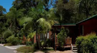 阿沃卡棕櫚樹酒店