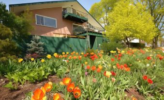 Ann Arbor Bed and Breakfast