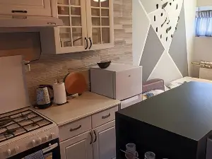 Studio Apartment Dunja