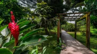 Bambuda Lodge Hotels in 
