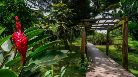 Bambuda Lodge Отели в г. Бастименто