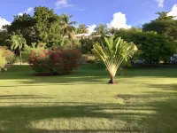 Résidence le Vallon Guadeloupe Parc Piscine Appartements & Studios & Services hôteliers à la Carte Hotels in 