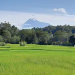 Rindoe Jogja Holiday Home Hotel a Pajangan