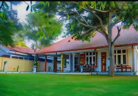 Ace Boutique Airport