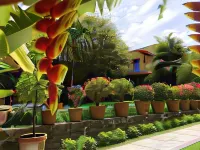 Orchidelirium Casa Hotel & Salud Estética