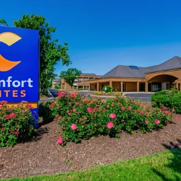 Comfort Suites Chesapeake - Norfolk