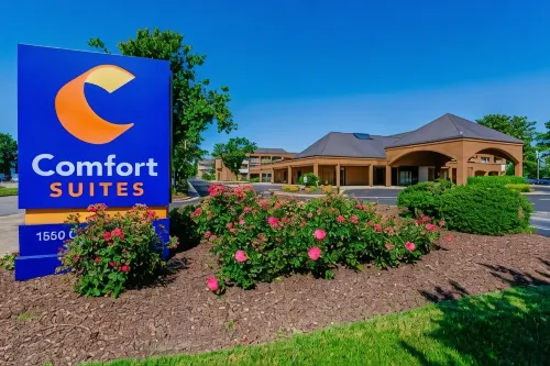 Comfort Suites Chesapeake - Norfolk