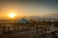 ムーディ ガーデンズ ホテル、スパ アンド コンベンション センター - 絶景