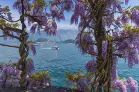 Plesio Rustico Panoramica - Homestays