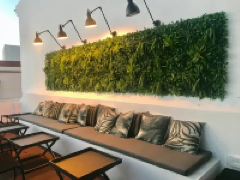 Alameda Exclusive House