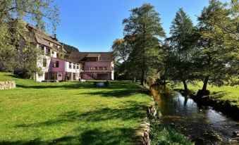 Logis Hotel des Vosges