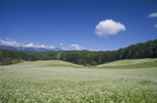 Japanese Hotel Yamanakakan