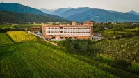 Chateau Artwine Hotels in Almati