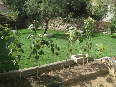 Candeias do Souto Hotels in 