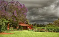 Gerald's Gift Guest House Hotels in Addo