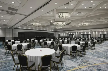 Marriott Chicago O'Hare Отели в г. Найлс