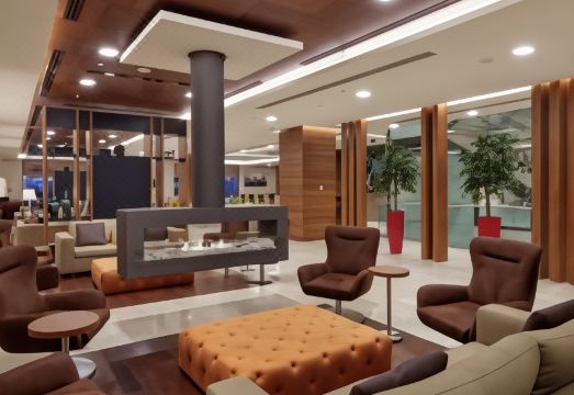 힐튼 가든 인 촐루