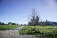 Coldstream Estate - the Whare Hotel a Coldstream