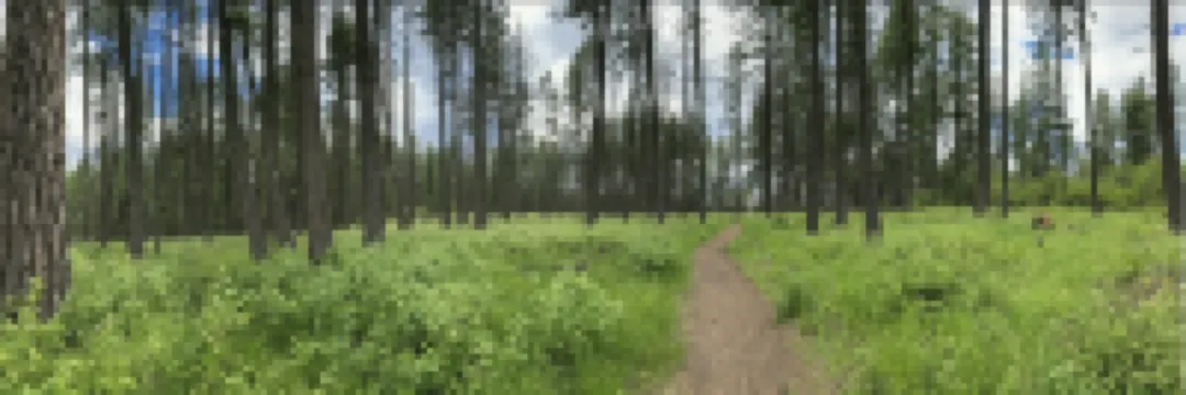 Hayden Hideaway ❤️ Quiet, Comfortable and Private. Close to everything!