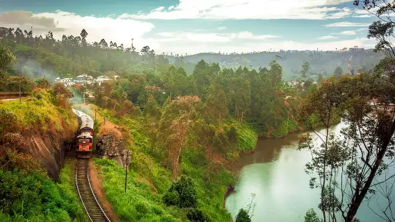Nanuoya : billet de train panoramique de première classe à destination ...