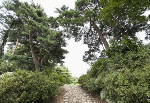 무주 솔다박체험 펜션