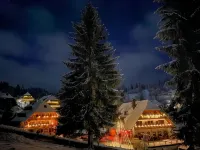 Hotel & Restaurant Grüner Baum - Die Grüne Oase am Feldberg Hotels in Feldberg
