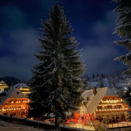 Hotel & Restaurant Grüner Baum - Die Grüne Oase am Feldberg