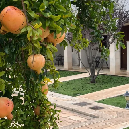 Hotel Relais Antica Masseria