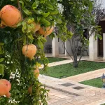 Hotel Relais Antica Masseria - Villas