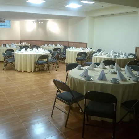 Hotel Mision Leon
