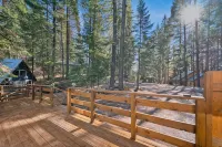 Cozy 3-bedroom cabin in beautiful Trinity Center with WiFi, AC