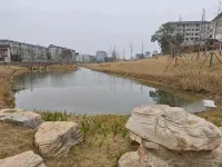 โรงแรมนานาชาติ โอเรียนทัล - วิว