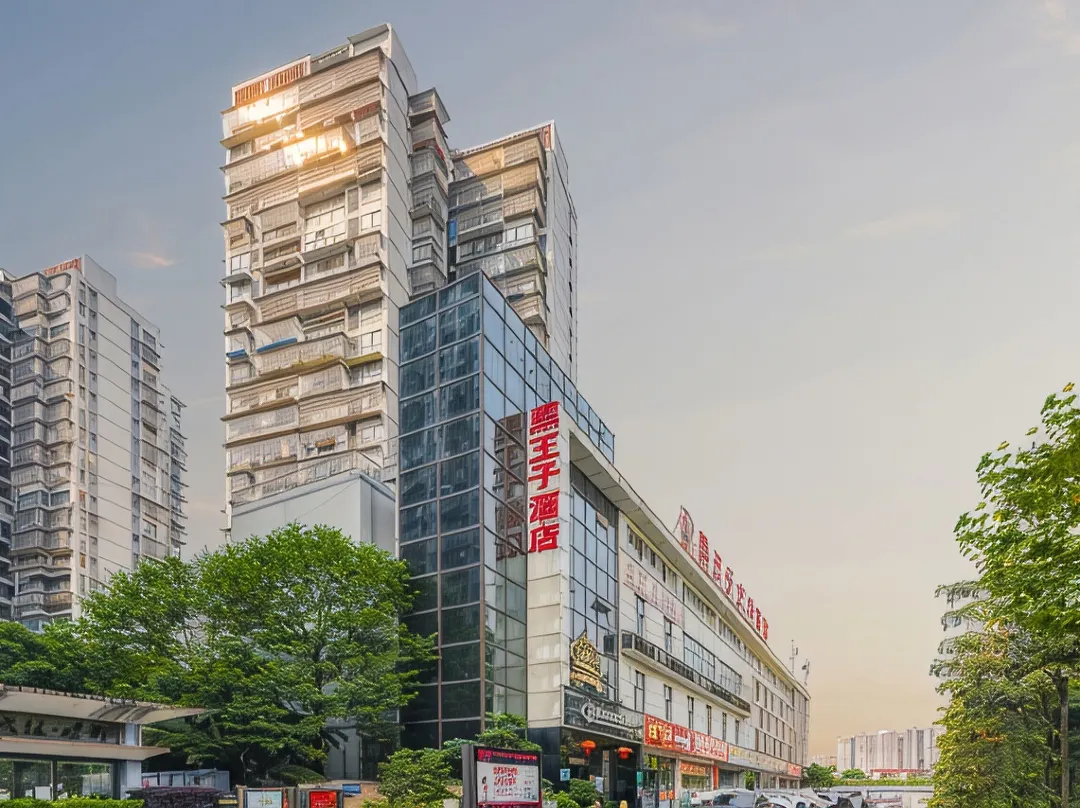 Black Prince Art Hotel - Luzhou