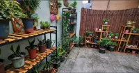 Taishun Youlan Xiaozhu Homestay - غرفة مطلة على الجبل