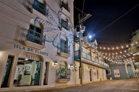 Hotel Isla de Flores