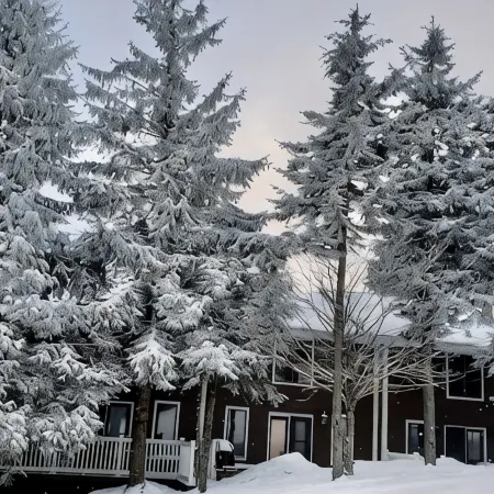 SLOPE SIDE SKI IN /  SKI OUT TOWNHOUSE TOP OF POWDER MONKEY LIFT BEST LOCATION