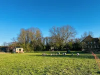 Beautiful Circus Wagon in a Secluded Location Hotels in Rosche