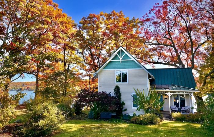 Charming Finger Lakes cottage with 3 levels of lakefront views for all seasons