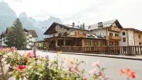 艾爾伯格中央酒店 - 山景