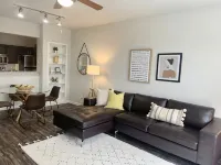 1 BR @ Med Center with Hermann Park View - Condos
