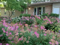 Charming 3-bedroom home in Mt Pleasant near colleges, Casino and children parks - Wifi